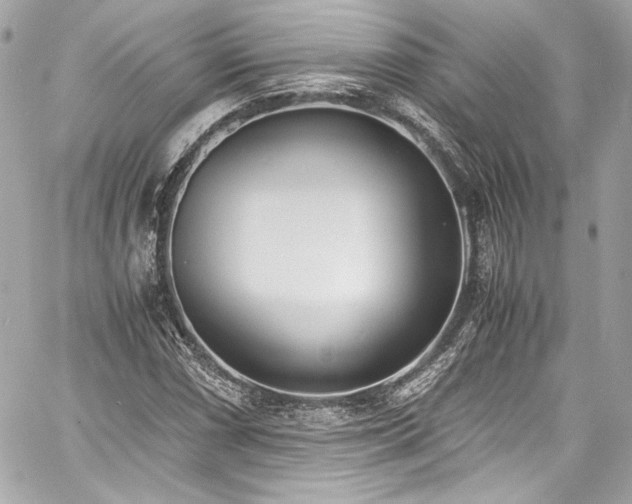 X0000060801066200511101413