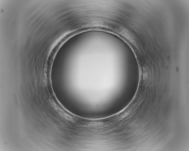 X0000060801068200511101413