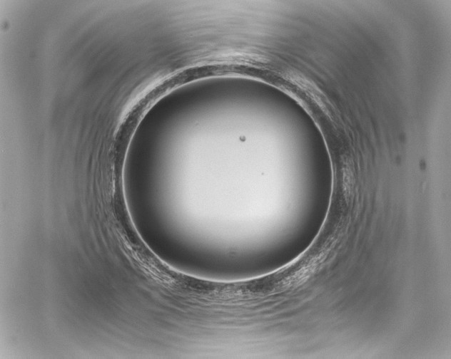 X0000060801069200511101413