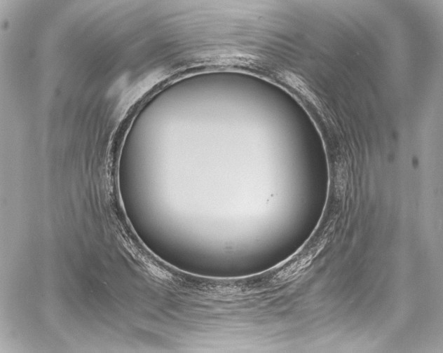 X0000060801071200511101413