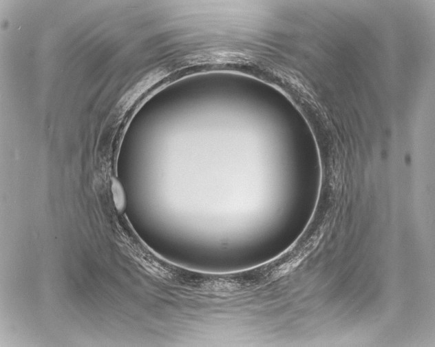 X0000060801073200511101413