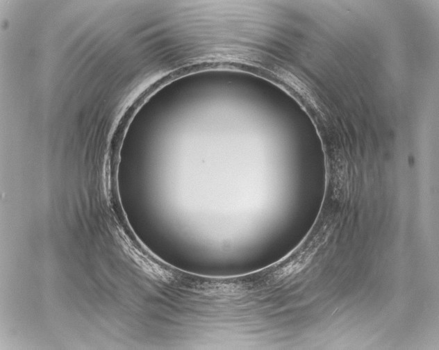 X0000060801076200511101413