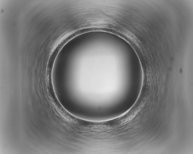 X0000060801077200511101413