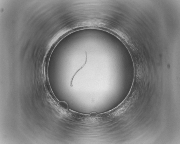 X0000060801078200511101413