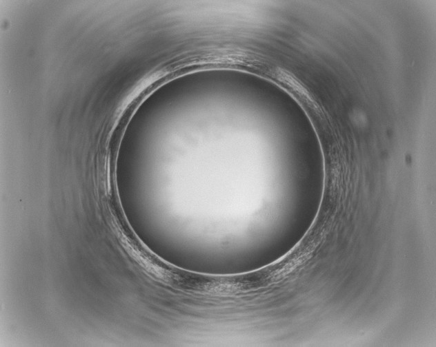 X0000060801079200511101413