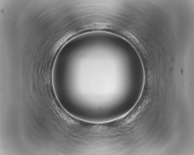 X0000060801081200511101413