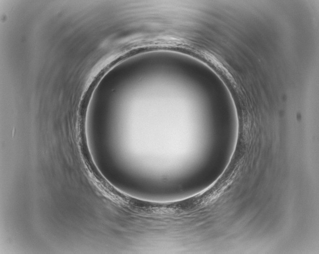 X0000060801085200511101413