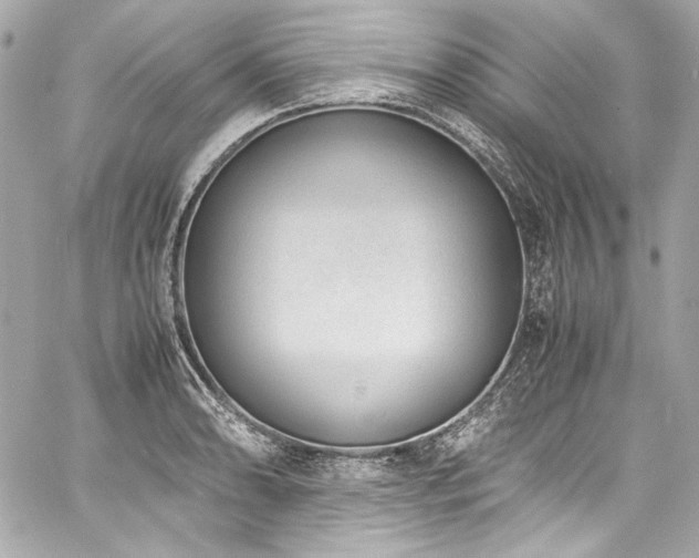 X0000060801086200511101413