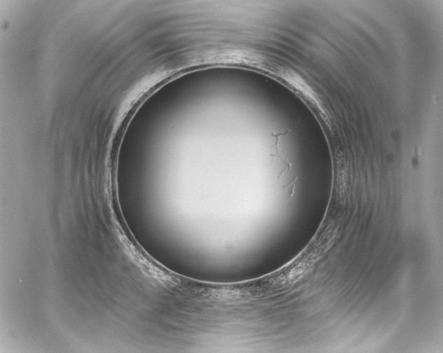 X0000060801088200511101413