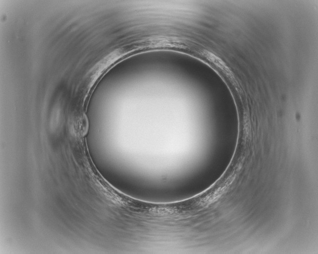 X0000060801089200511101413