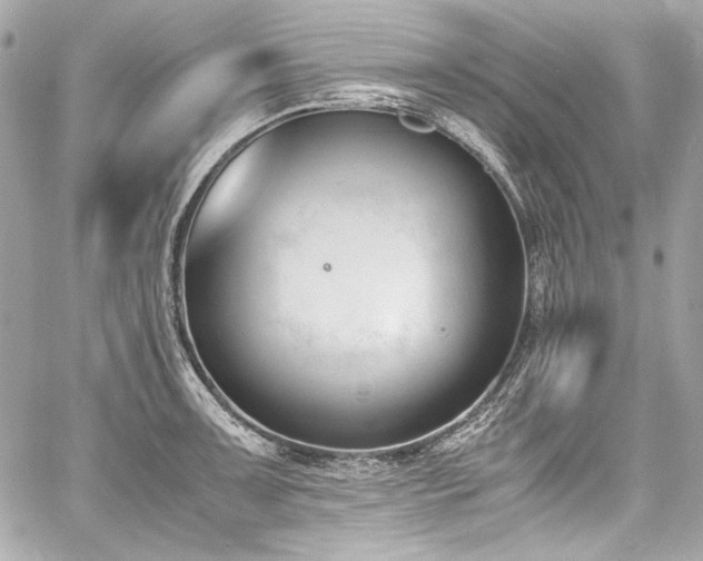 X0000060801091200511101413