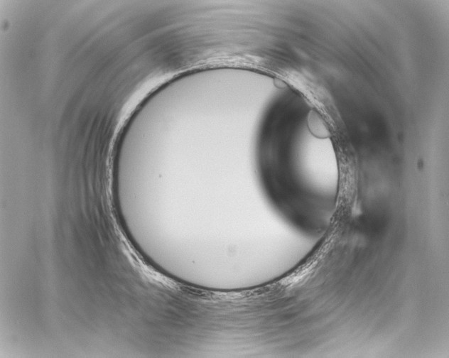 X0000060801094200511101412