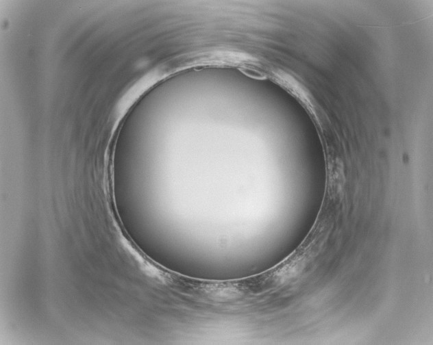 X0000060801103200511101412