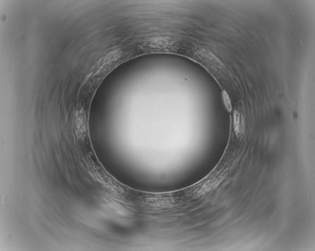X0000060801107200511101412