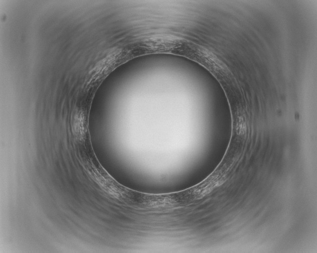 X0000060801108200511101412