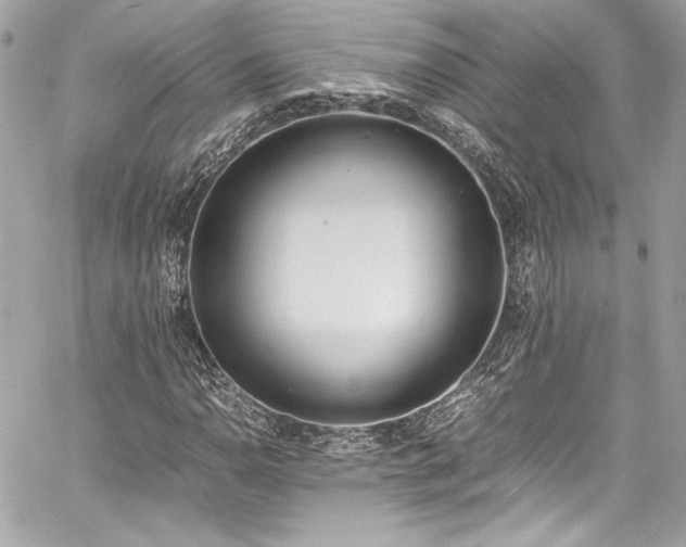 X0000060801110200511101412