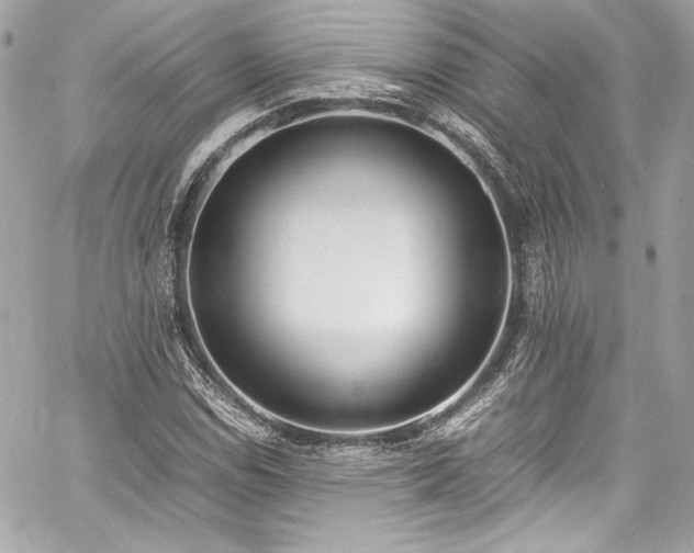 X0000060801114200511101412