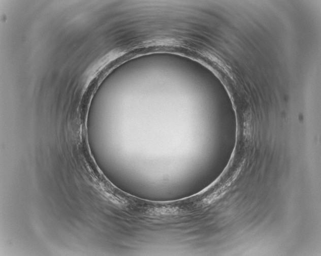 X0000060801117200511101412