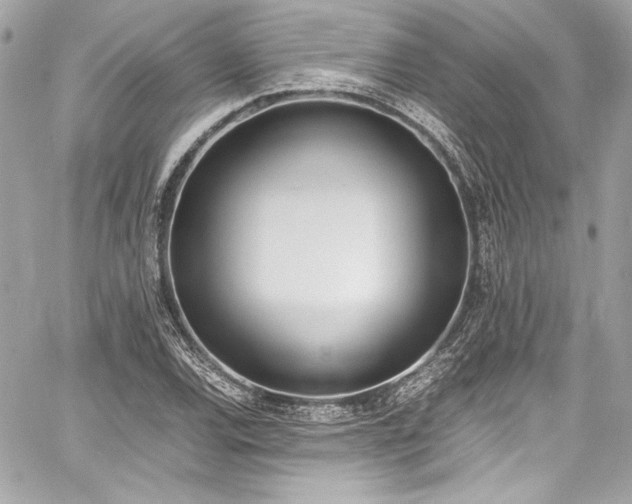 X0000060801120200511101412
