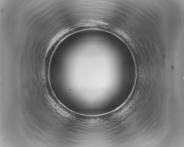 X0000060801122200511101412
