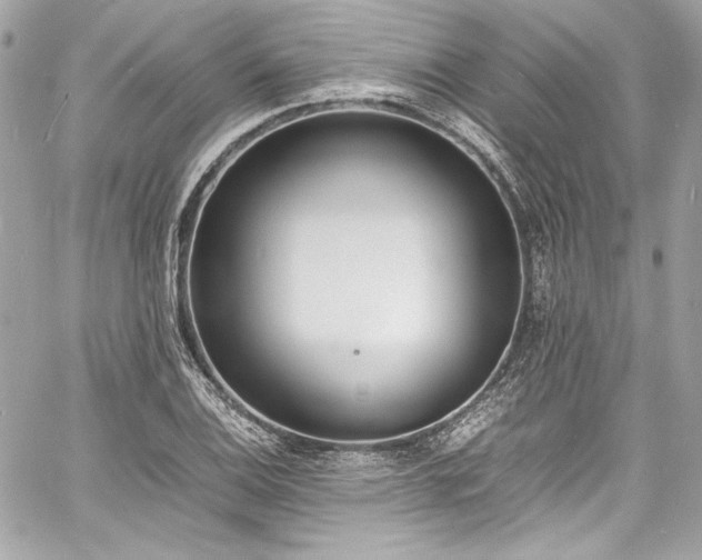 X0000060801124200511101412