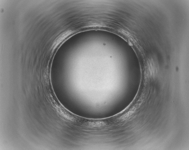 X0000060801129200511101412