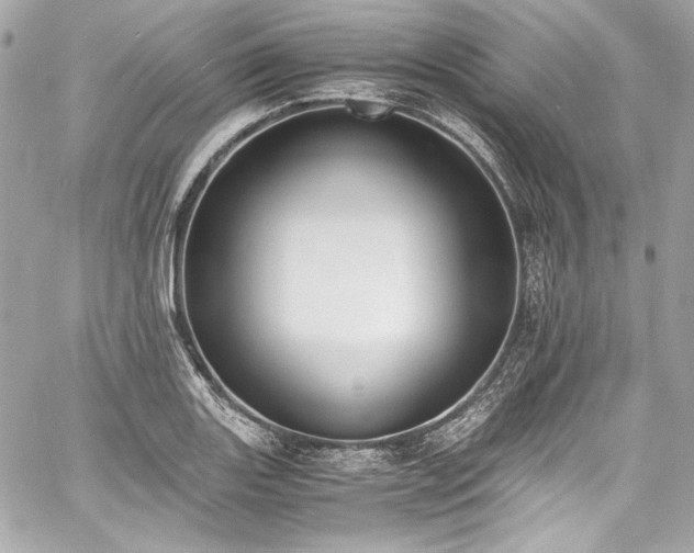 X0000060801131200511101412