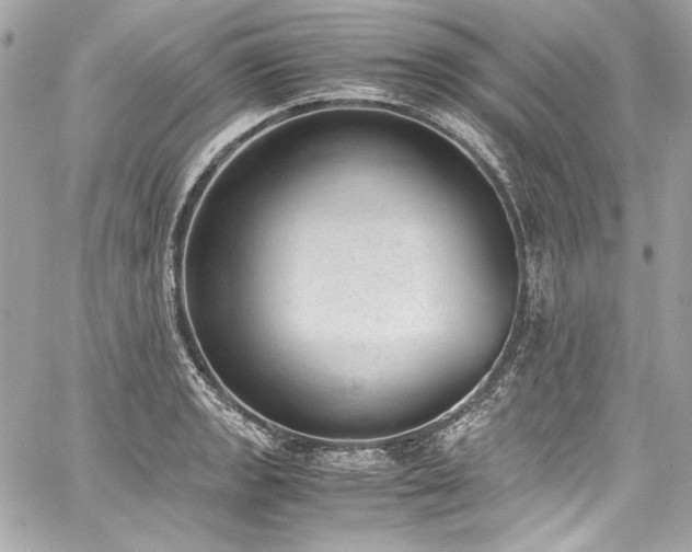 X0000060801133200511101412