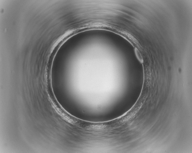 X0000060801134200511101412