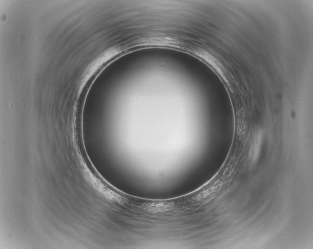 X0000060801139200511101412