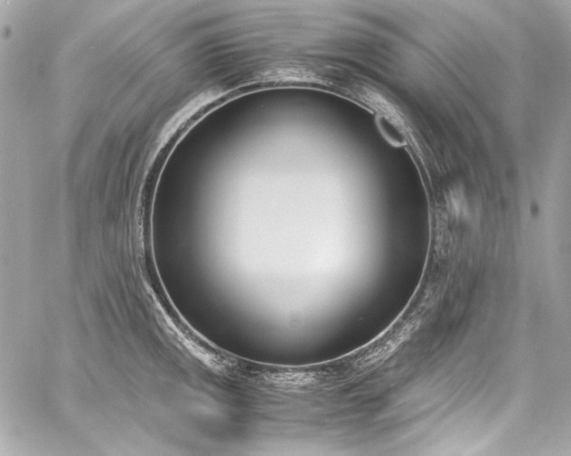 X0000060801141200511101412