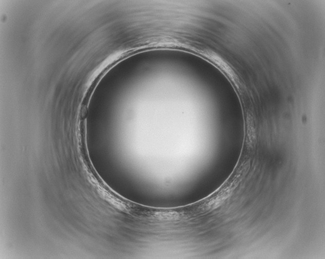 X0000060801142200511101412