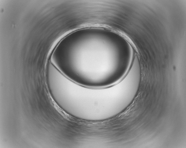 X0000060801148200511101412