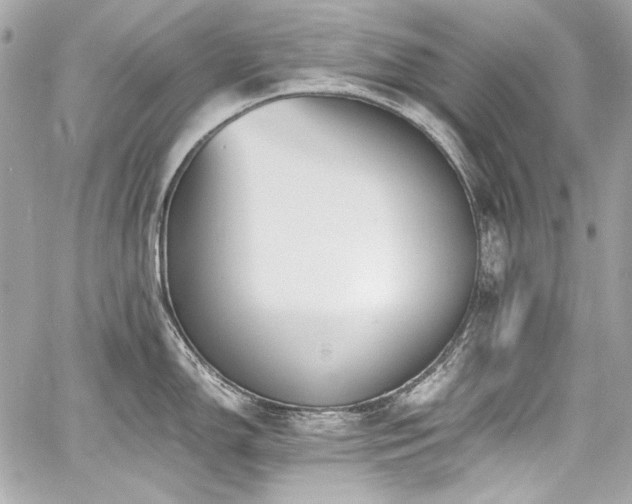 X0000060801150200511101412