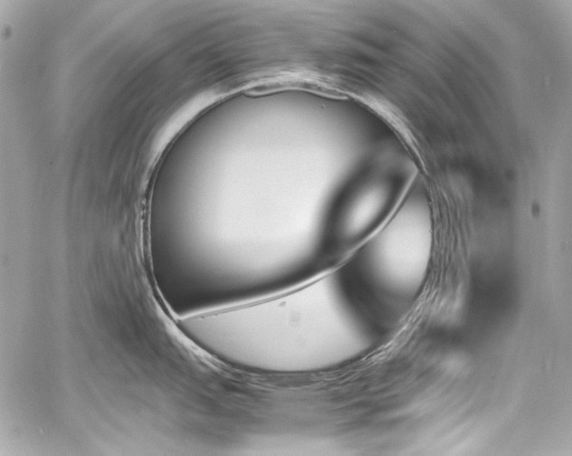 X0000060801151200511101412