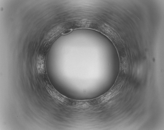 X0000060801154200511101411