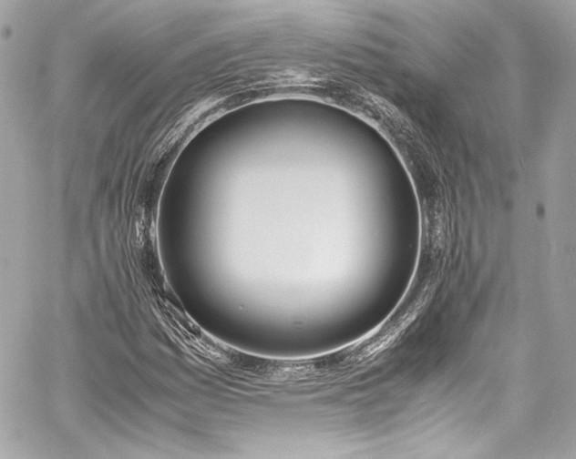 X0000060801161200511101411