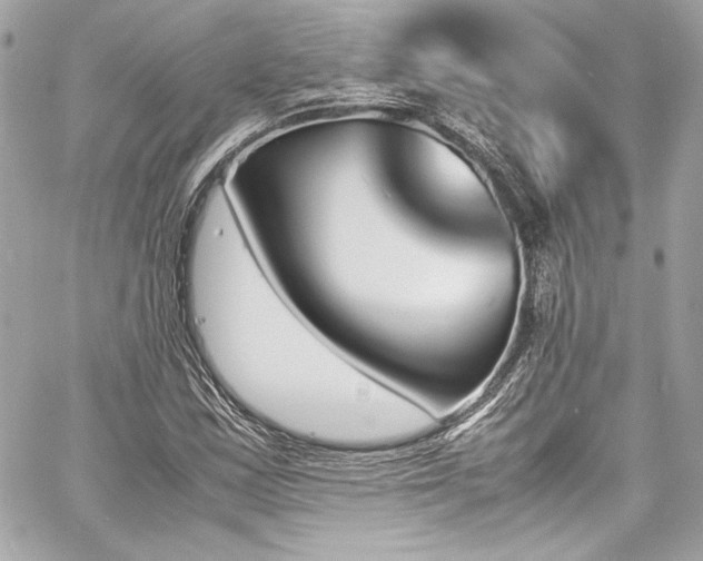 X0000060801163200511101411
