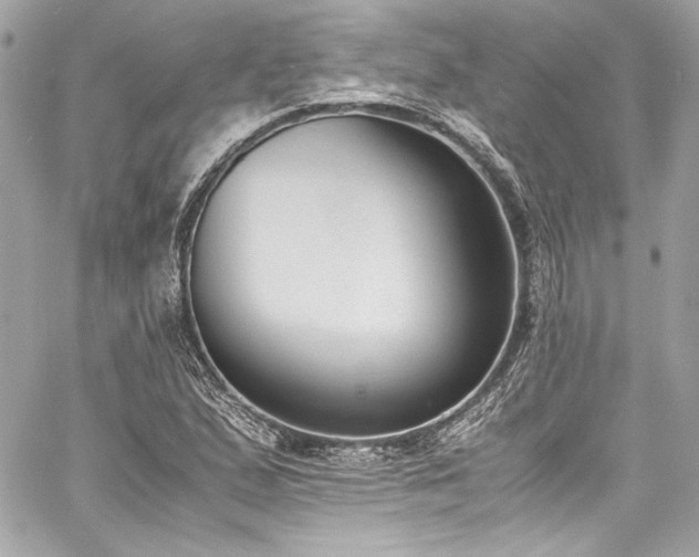 X0000060801167200511101411