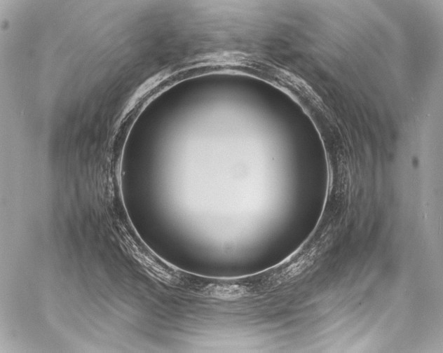 X0000060801168200511101411