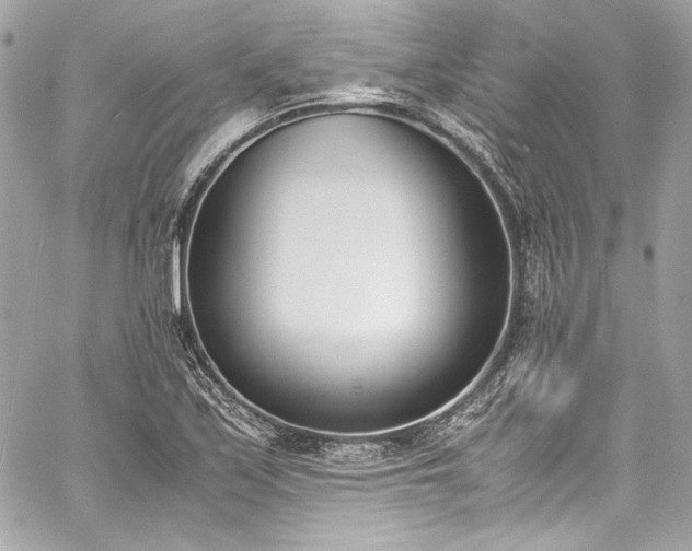 X0000060801171200511101411
