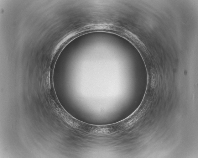 X0000060801174200511101411
