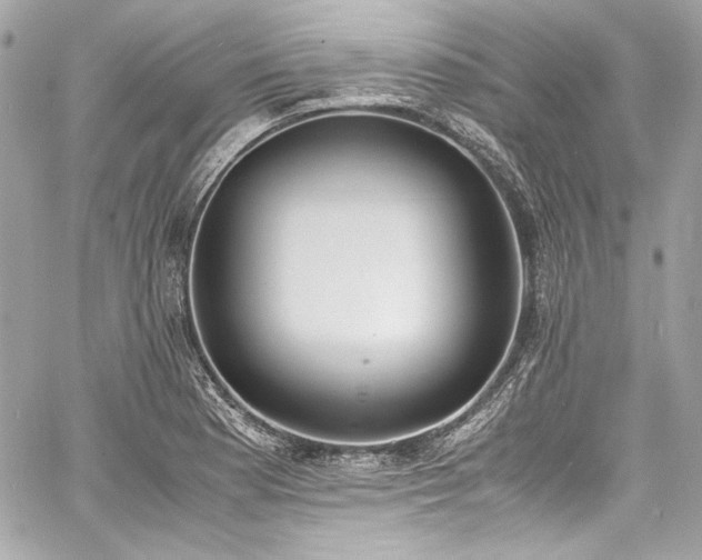 X0000060801177200511101411