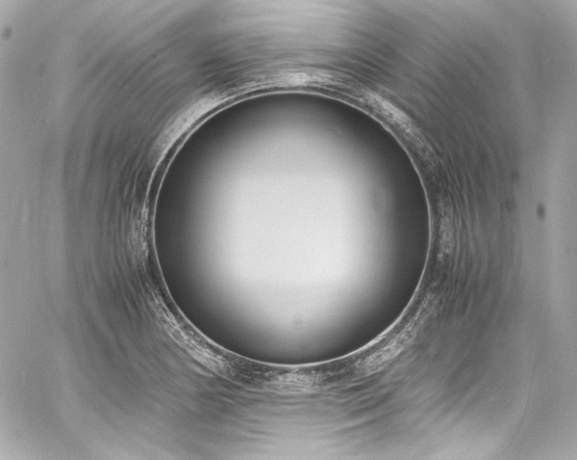 X0000060801178200511101411