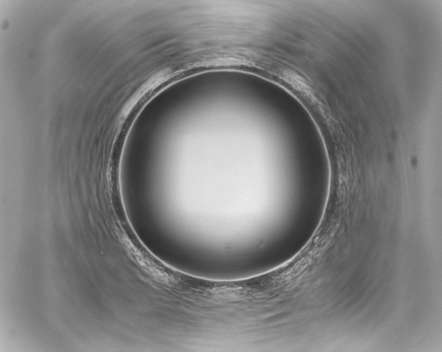 X0000060801181200511101411