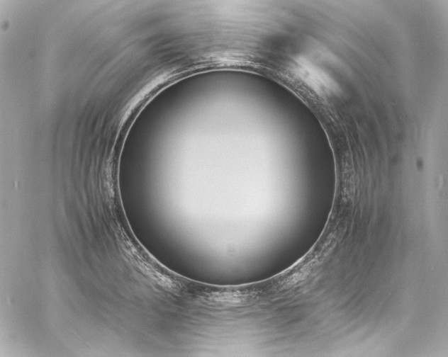 X0000060801182200511101411