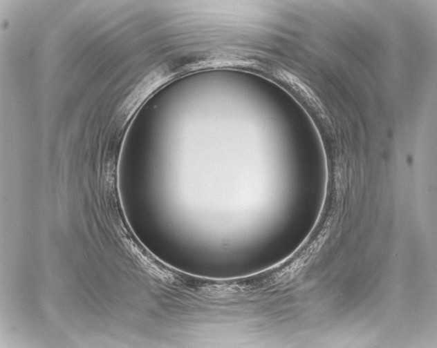 X0000060801185200511101411