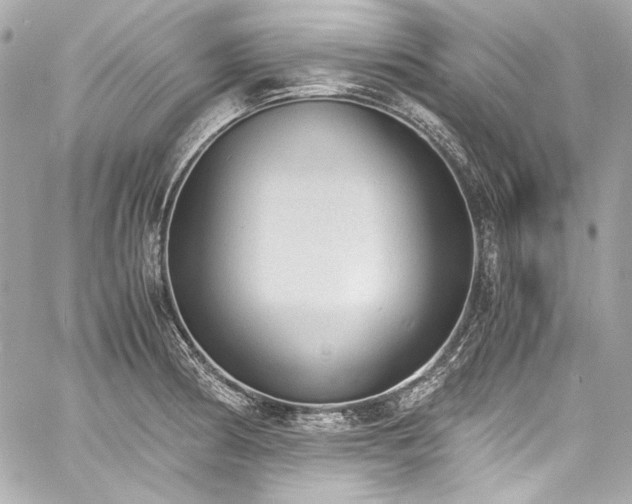 X0000060801186200511101411