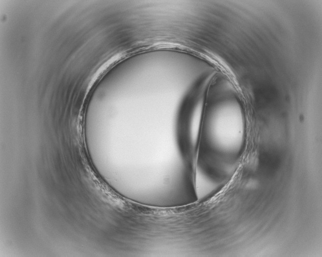 X0000060801190200511101411