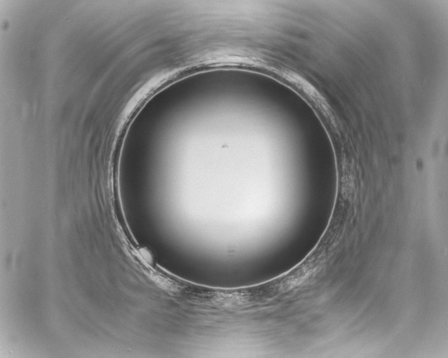 X0000060801191200511101411